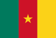 Camerun Drapel național