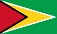 Guyana Drapel național